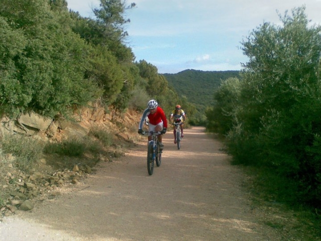 Percorsi in bici.jpg
